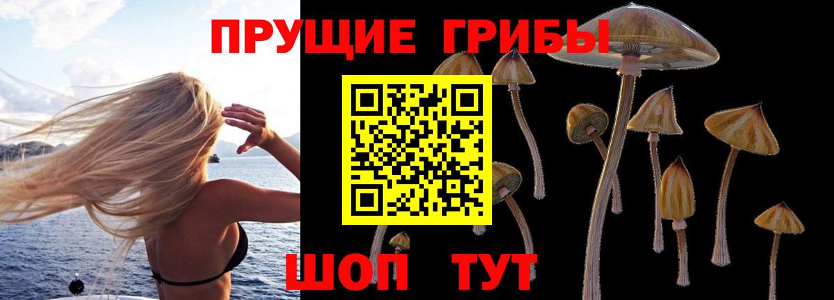 Галлюциногенные грибы Psilocybine cubensis  Вход с VPN  Владикавказ  Псилоцибиновые грибы мицелий 